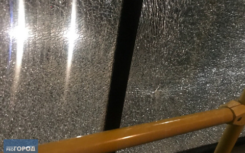 В центре Сыктывкара неизвестные обстреляли пассажирский автобус (фото)