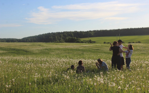 Синоптики рассказали, какой будет последняя неделя лета в Сыктывкаре