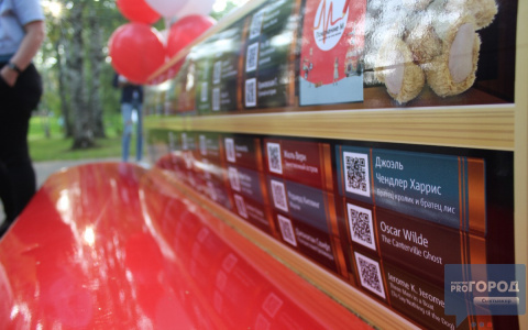 В Сыктывкаре появились инновационные литературные скамейки (фото)