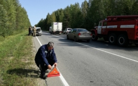 В Коми «Шевроле» с пьяной женщиной за рулем улетел в кювет