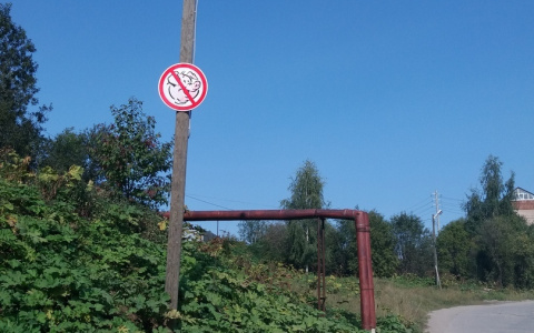 В Сыктывкаре обнаружили дорожный знак, запрещающий проезд свиньям (фото)