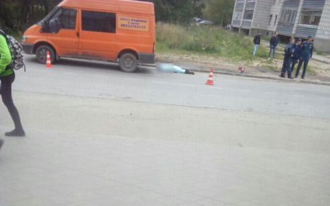 В Сыктывкаре водитель грузового авто насмерть сбил женщину (фото)