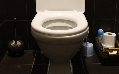 Жительница Коми попросила полицию найти золото, которое утопил в унитазе ее муж