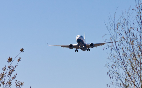 Самолет, который вез сыктывкарцев из Крыма, сел в соседнем с Коми регионе