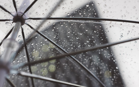 Погода в Сыктывкаре 8 сентября: дождь зарядит всерьез и надолго