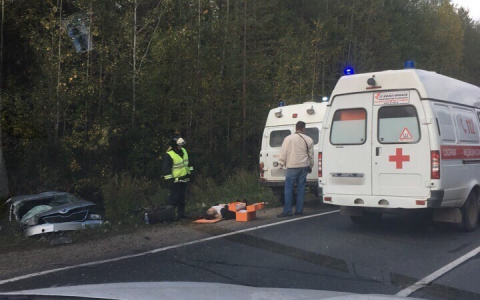Появилась информация о пострадавших в жестком ДТП под Сыктывкаром