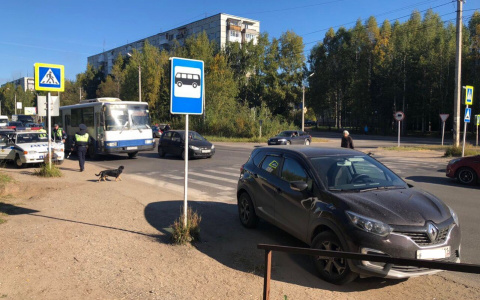 У пожарной части в Сыктывкаре женщина-водитель сбила маленькую девочку