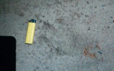 В Сети появилось видео ночной погони за волком в коми поселке