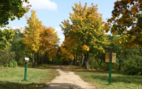 Погода в Сыктывкаре на 16 сентября: дождя не будет