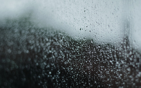 Синоптики рассказали какая погода ждет сыктывкарцев на следующей неделе