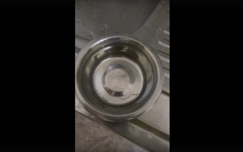 У жителя Коми в квартире из-под крана течет вода с червями (видео)