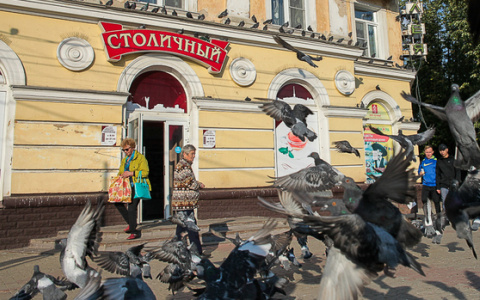 Сыктывкарцы, в доме которых находится магазин «Столичный», боятся открытия «Магнита»