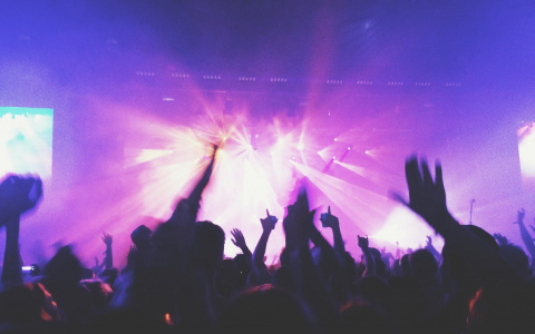 Назван топ-3 криминальных ночных заведений Сыктывкара