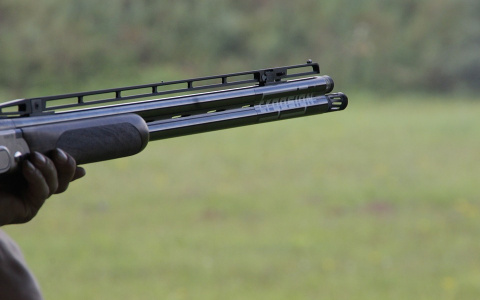 В Коми мужчина застрелил из ружья собаку соседа