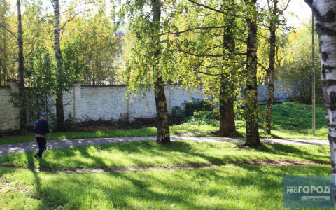 Синоптики рассказали, какую погоду ждать в Коми на следующей неделе