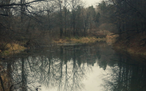 Погода в Сыктывкаре 26 сентября: днем не теплее, чем ночью