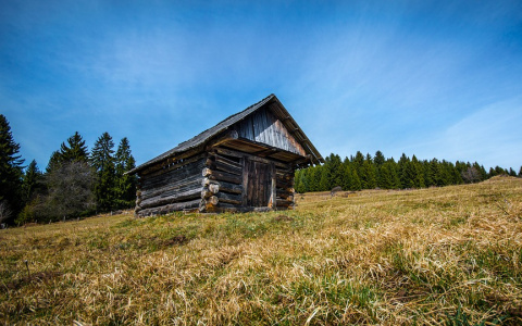 В Коми родители двух девочек и мальчика не дождались детей из школы