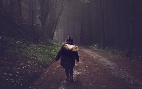 Погода в Сыктывкаре 27 сентября: ночью холодно, днем ветрено и дождливо