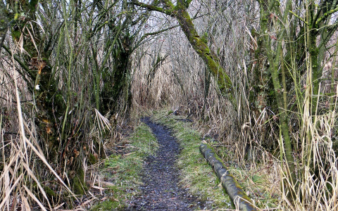 Следователи Коми рассказали, как тащили по глухой тайге труп погибшего рыбака