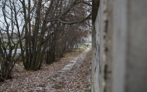 Синоптики рассказали, когда в Сыктывкаре пройдет первый снег