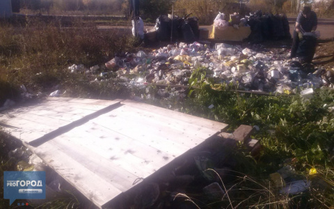 После публикации в СМИ из сыктывкарского поселка вывезли огромное количество мусора