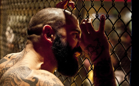 МакГрегор vs Нурмагомедов: топ заведений для просмотра культового боя в Сыктывкаре