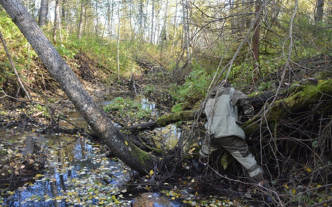 В полиции выясняют личность сыктывкарца, которого нашли мертвым на лыжной базе