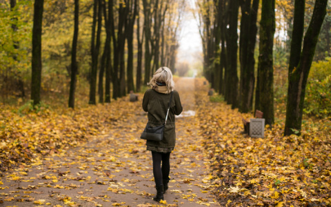 Погода в Сыктывкаре 3 октября: похоже, что дожди, наконец, прекратились
