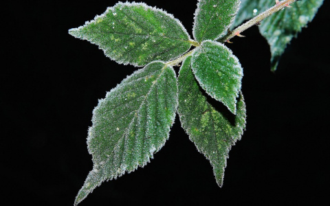 Синоптики рассказали, какая погода будет в Сыктывкаре в первые выходные октября