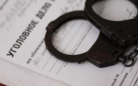 На месте убийства двух детей и их деда в Коми нашли орудия преступления