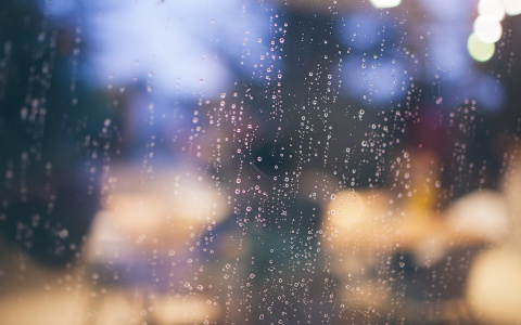 Погода в Сыктывкаре на 7 октября: небольшой дождь и переменная облачность