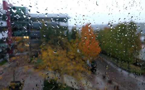 Погода в Сыктывкаре 8 октября: плюсовая температура и дождь