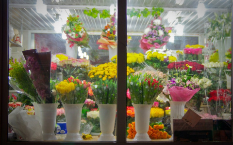 Сыктывкарского бизнесмена «кинул» на деньги магазин цветов