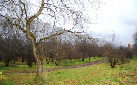 В Сыктывкаре появится храм всех религий