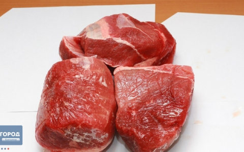 В Коми 25 человек оказались носителями опасного паразита