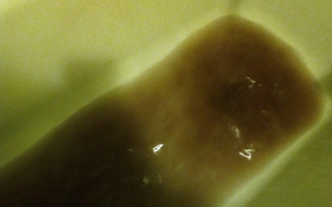 У сыктывкарки вместо воды из крана течет черная жидкость (фото)