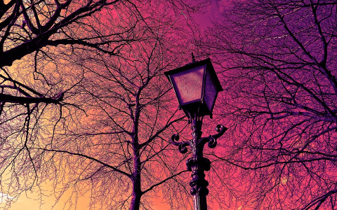 Жительница села в Коми в качестве мести распускает слухи об администрации