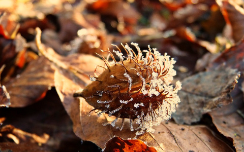 Погода в Сыктывкаре на 14 октября: сухо, но прохладно