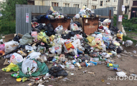 В Коми назвали новые расценки на вывоз мусора