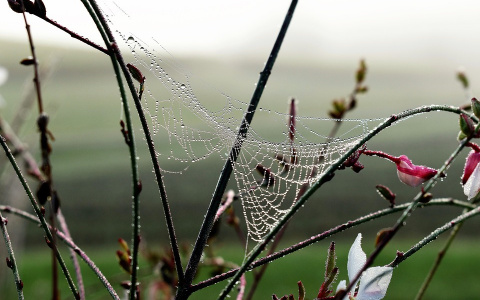 На этой неделе в Сыктывкаре будет не по сезону тепло