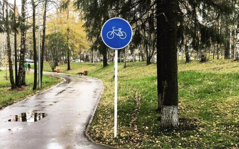 Фото дня: Мичуринский парк Сыктывкара после дождя