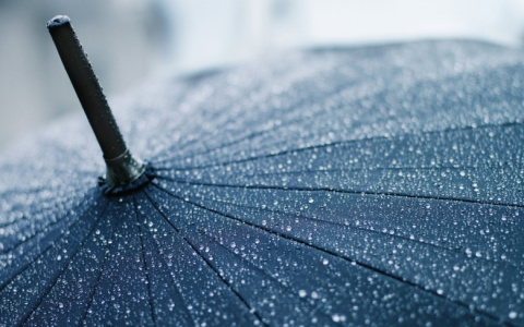 Погода в Сыктывкаре на 18 октября: дождь и пасмурное небо