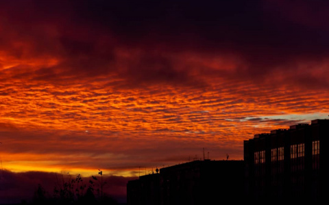 Фото дня: рассвет в сыктывкарской Орбите