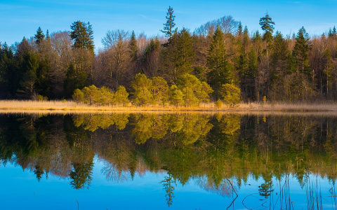 В Коми пропали двое полицейских: ведутся поиски