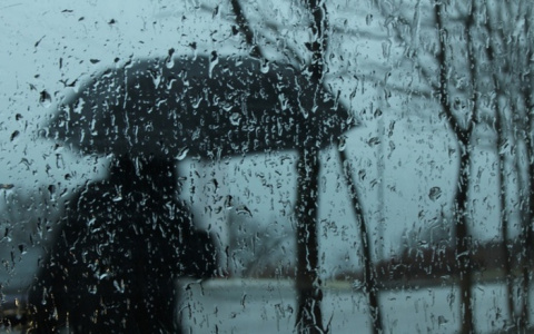 Погода в Сыктывкаре на 23 октября: ветрено и дождливо