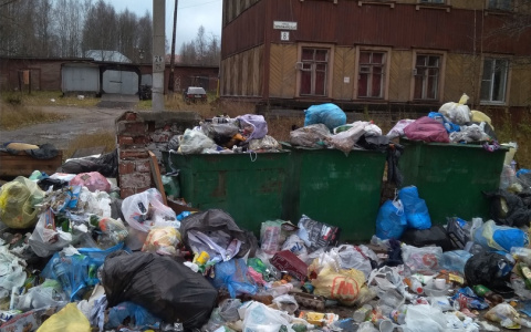 В Коми жильцы домов устроили свалку в центре города