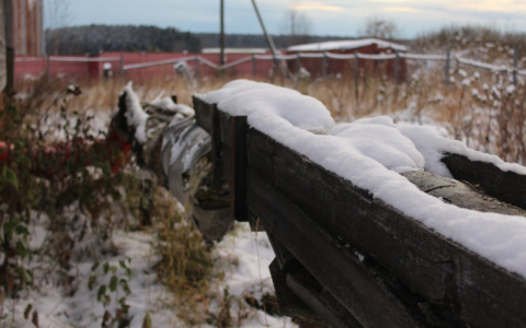 В выходные в Сыктывкаре наступит зимняя погода