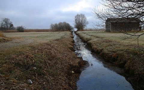 Под Сыктывкаром в канаве нашли мертвого мужчину