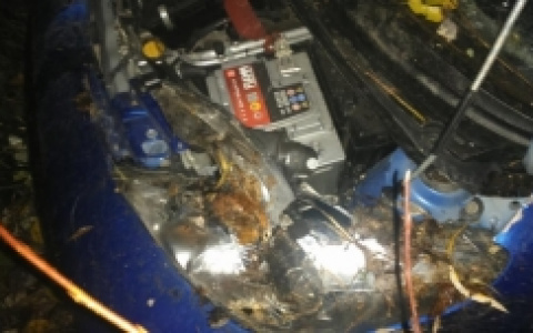 В Коми водитель «ВАЗа» попал в ДТП и убежал