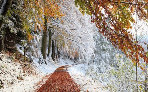 Погода в Сыктывкаре на 30 октября: прохладно и немного солнечно